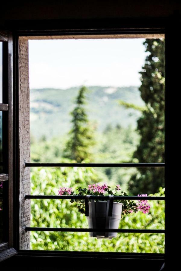 Le Terre Di Caprano Hotel Citta di Castello Luaran gambar
