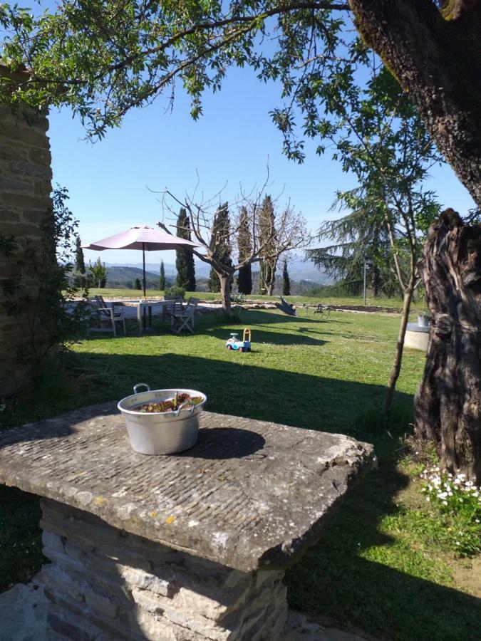Le Terre Di Caprano Hotel Citta di Castello Luaran gambar