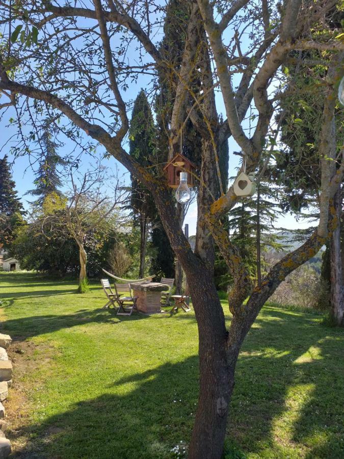 Le Terre Di Caprano Hotel Citta di Castello Luaran gambar